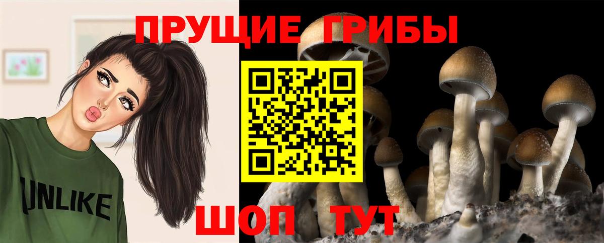 Псилоцибиновые грибы мухоморы  Вход с VPN  наркотики  Еманжелинск 